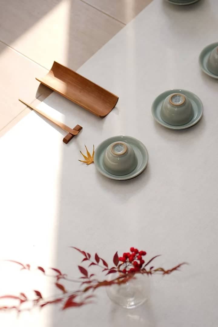 生命的觉醒介绍会